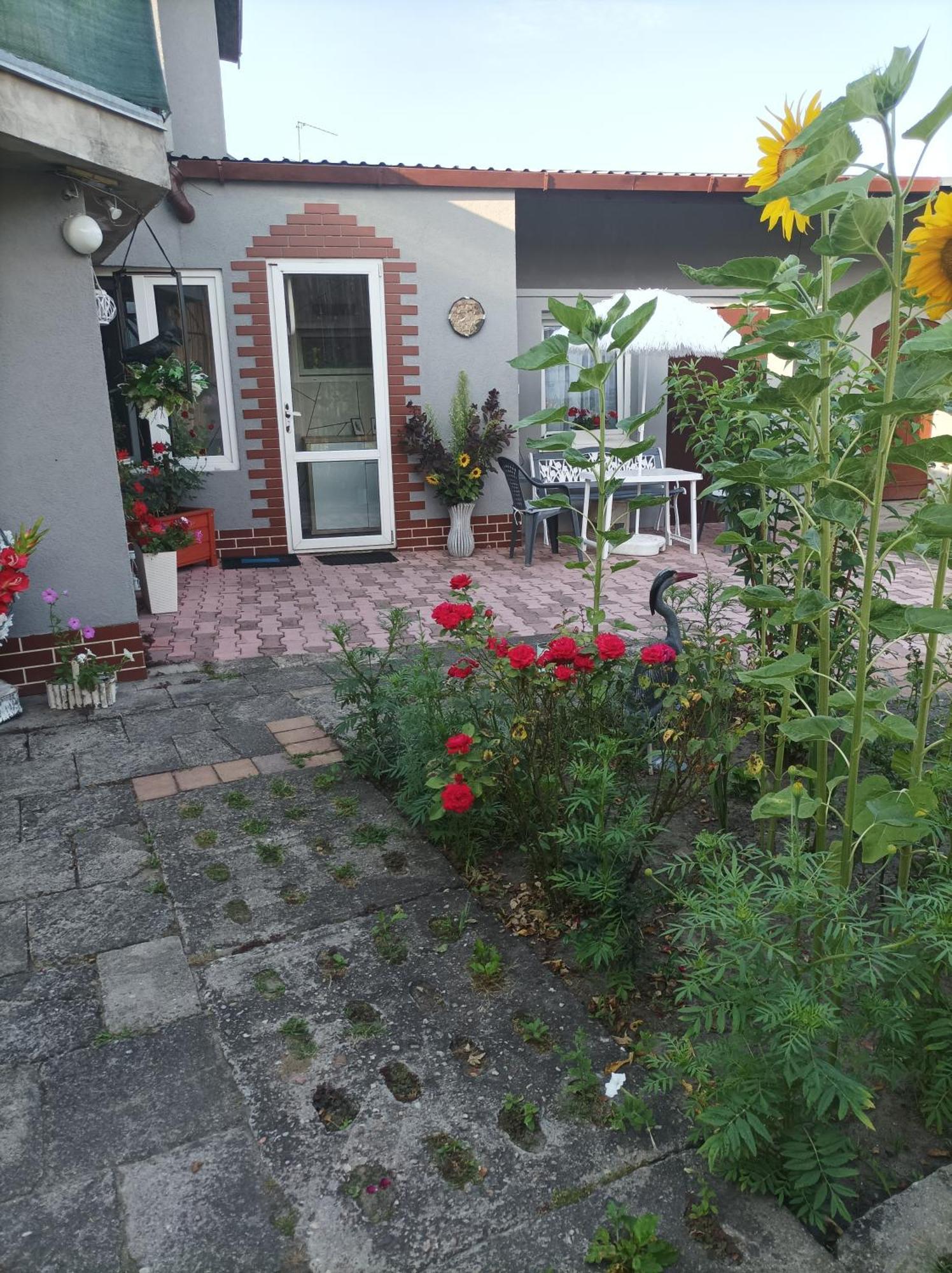 Brojce Apartment *